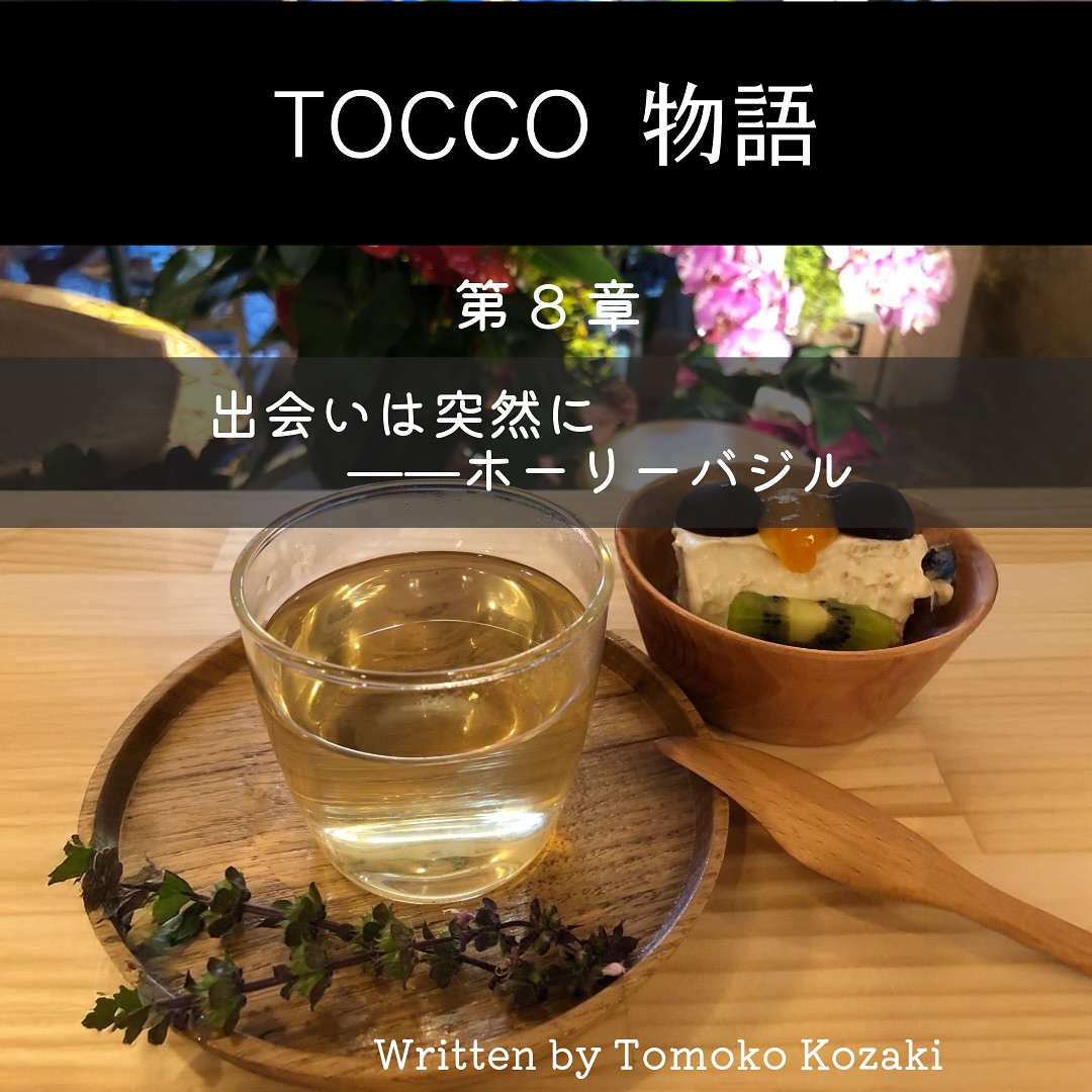 TOCCO物語（第8章）