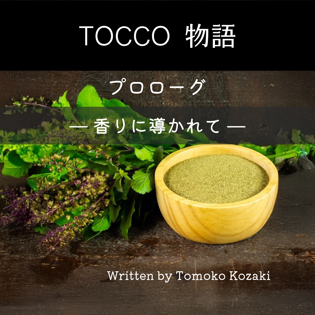 TOCCO物語（プロローグ）